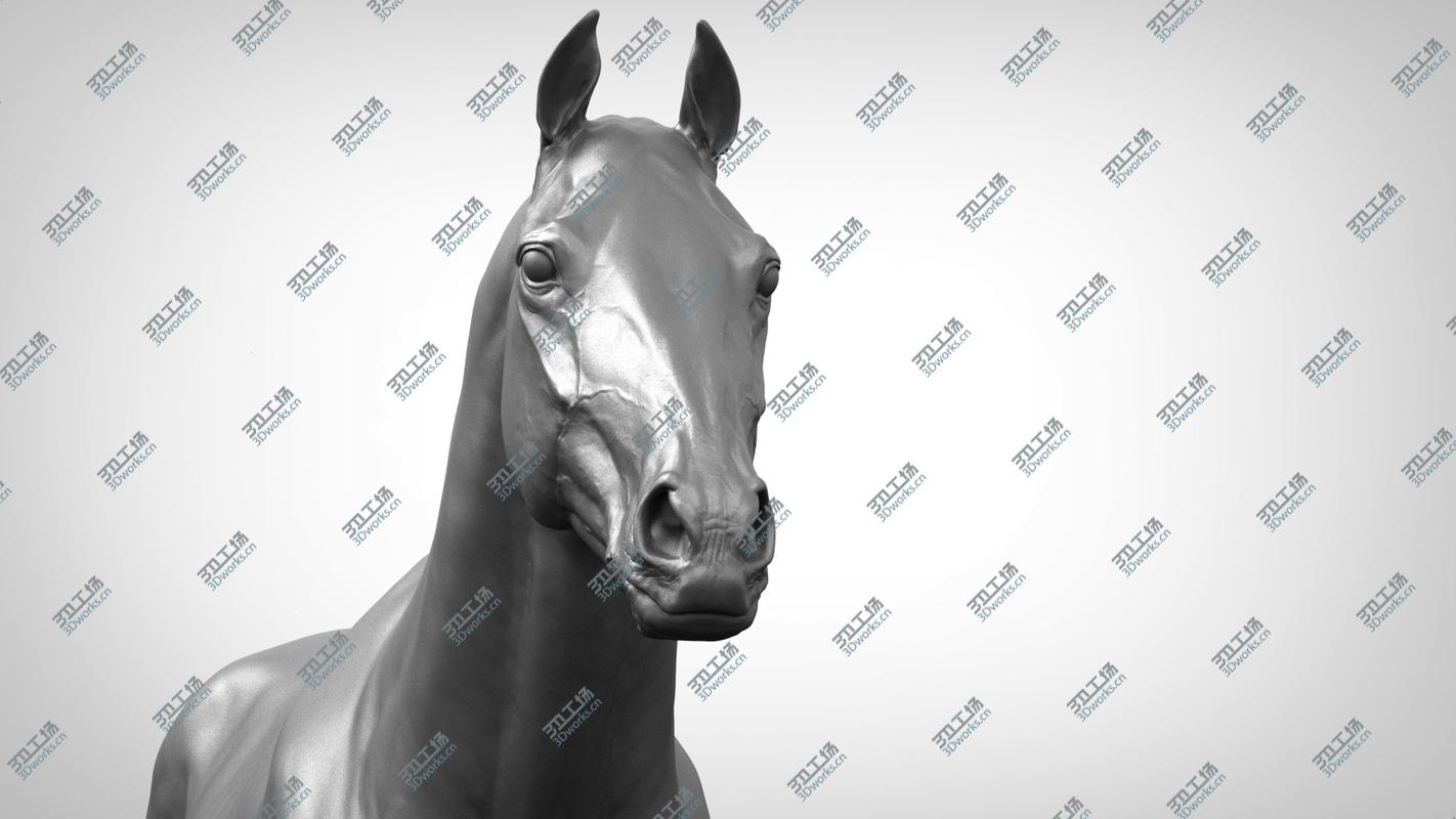 images/goods_img/20210313/3D Base Horse v2/5.jpg
